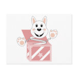 Skrunchkin Rabbit Cotton In Pink Box