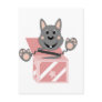 Skrunchkin Rabbit Kasper In Pink Box