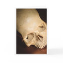 Skull #1 cards