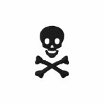 Skull and Crossbones Hoodie