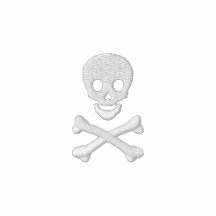 Skull and Crossbones Polo Shirt