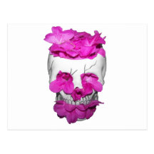 Skull and Pink Flowers Postcards