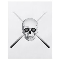 Skull and Pool Cues Custom Flyer