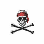 Skull & Bones Pirate logo with bandana embroidered shirts
