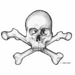 Skull & Crossbones photo sculptures