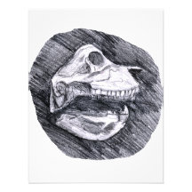 Skull drawing imaginary animal sketch announcements