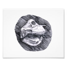 Skull drawing imaginary animal sketch photo
