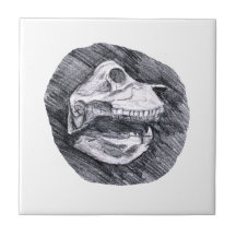 Skull drawing imaginary animal sketch ceramic tiles