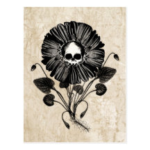 Skull Flower Postcards