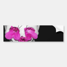 Skull Full of Pink Flowers Bumper Sticker