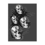 Skull Kisses Gothic Goth Postcards