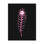 Skull Peacock Feather Postcard