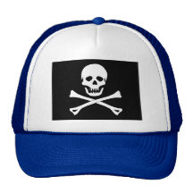 Skull Pirate Flag Hat