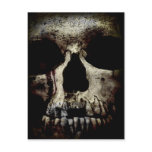 Skull Post Card