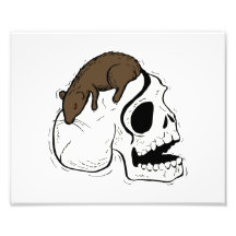 skull side brown rat graphic photo print