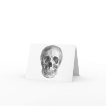 Skull Sketch perfect for Halloween party needs!