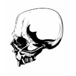 Skull t-shirts