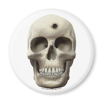 Skull with Bullet Hole Refrigerator Magnet