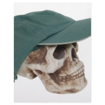 SkullBaseballCap032709 Letterhead