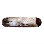 Skulls Bones Horns Cows Custom Skate Board
