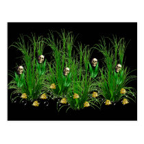 Skulls in the Weeds postcards