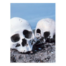 Skulls on the Beach Postcard