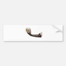 SkullSerene013110 Bumper Sticker