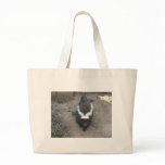 skunk bags