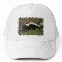 Skunk Behaviour  Baseball Hat