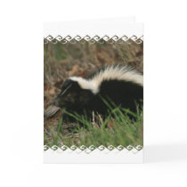Skunk Behaviour  Greeting Card