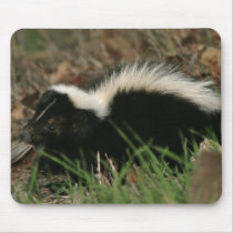 Skunk Behaviour  Mouse Pad