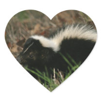 Skunk Behaviour  Stickers