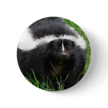 Skunk Photo Round Button