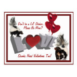 Skunks need Valentines Too Don’t Be a Lil’ Stinker Post Card