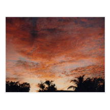 sky 1 postcard