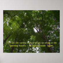 Sky Full of Trees Poster