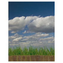 sky, grass, bricks flyer
