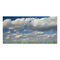 sky, grass, bricks picture card
