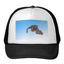 Sky High Trucker Hat