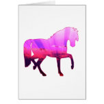 Sky Horse Cards