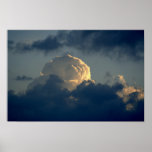 Sky Mushroom Posters
