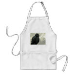 Sky Owl aprons