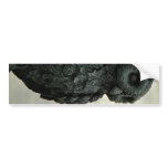Sky Owl bumper stickers