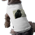 Sky Owl pet clothing