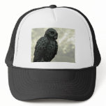 Sky Owl hats