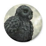 Sky Owl magnets