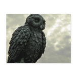 Sky Owl postcards