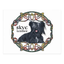 Skye Terrier in Celtic Knotwork - Buchanan Tartan Postcard