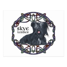 Skye Terrier in Celtic Knotwork Postcards