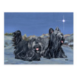 SKYE Terriers on a Winter Evening Postcard